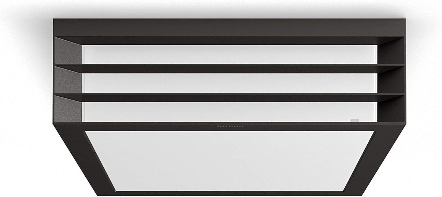 Philips Outdoor Wall Light