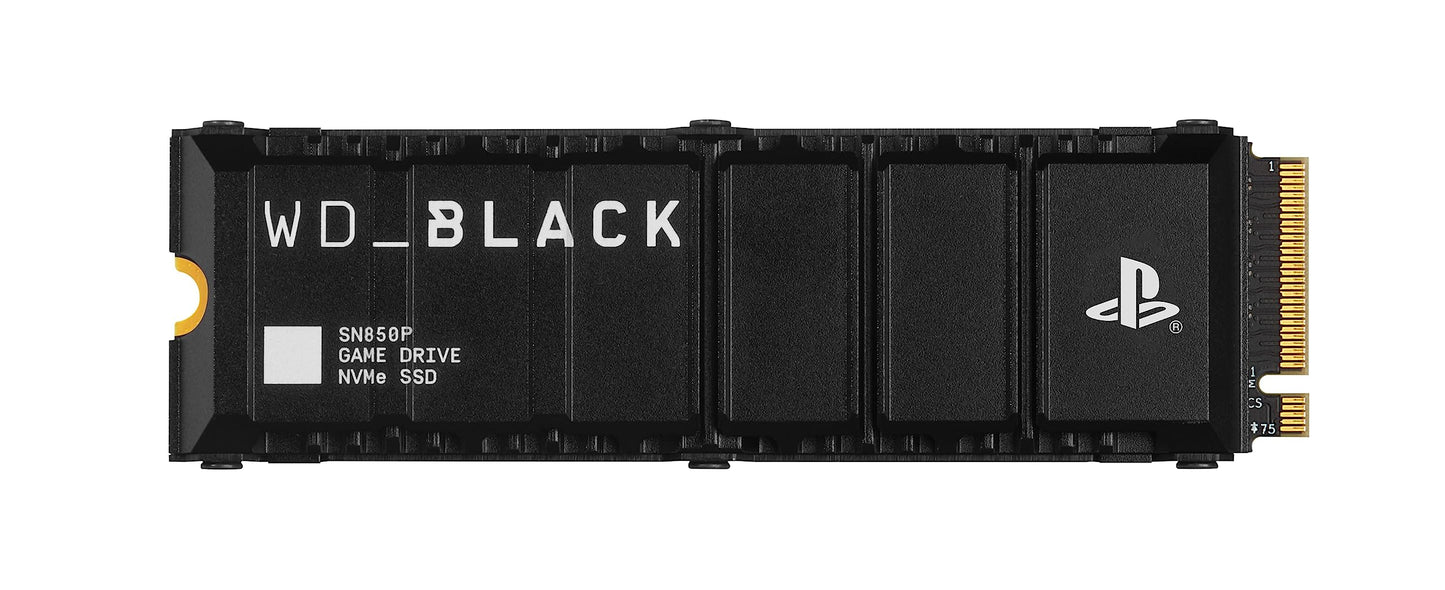 SanDisk Professional