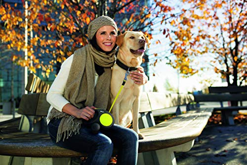 Flexi Neon Tape Green 5m Retractable Dog Leash/Lead for Dogs