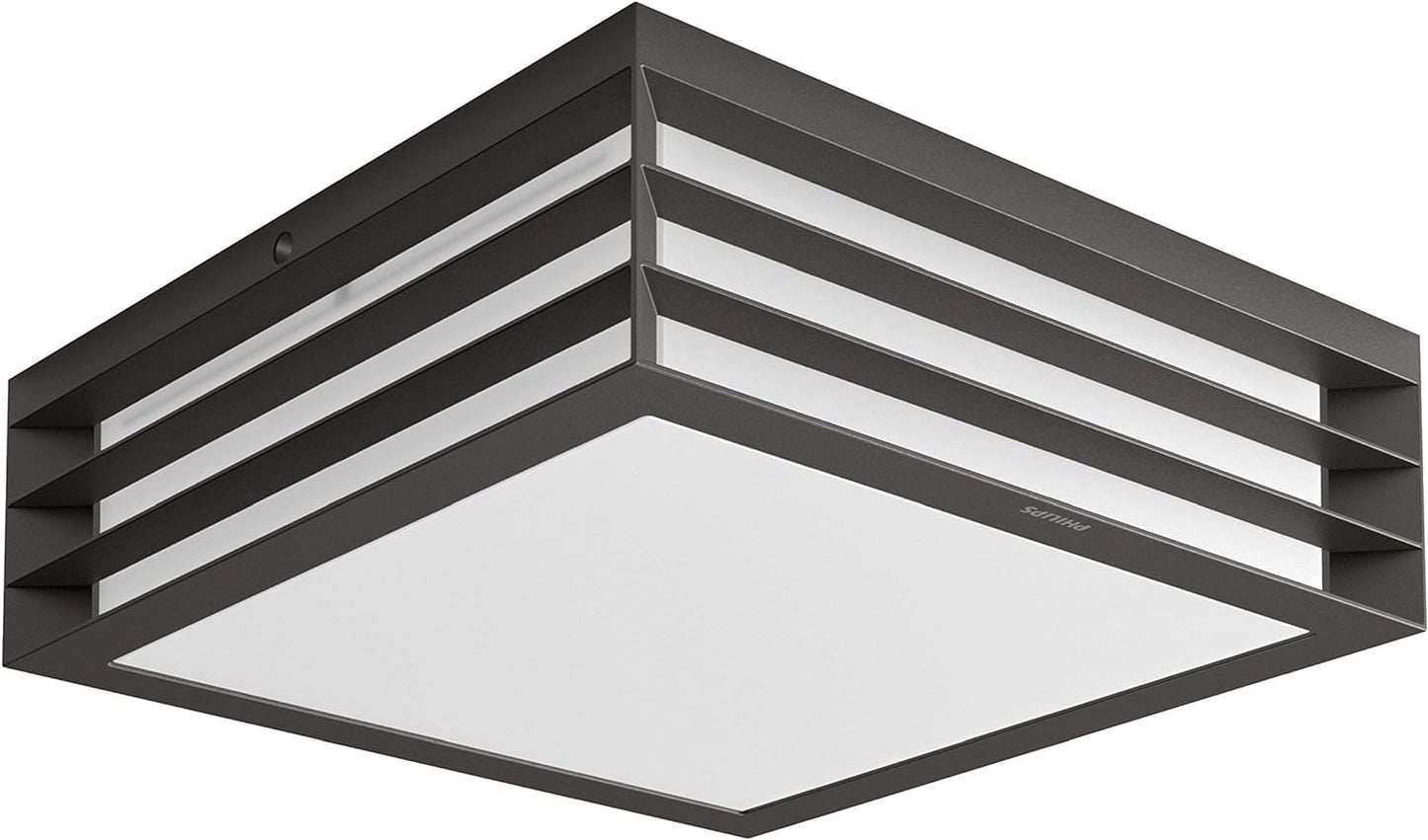 Philips Outdoor Wall Light