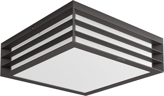 Philips Outdoor Wall Light