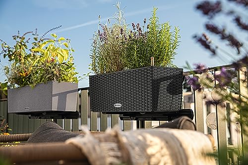Lechuza BALCONERA Cottage Self Watering Planter