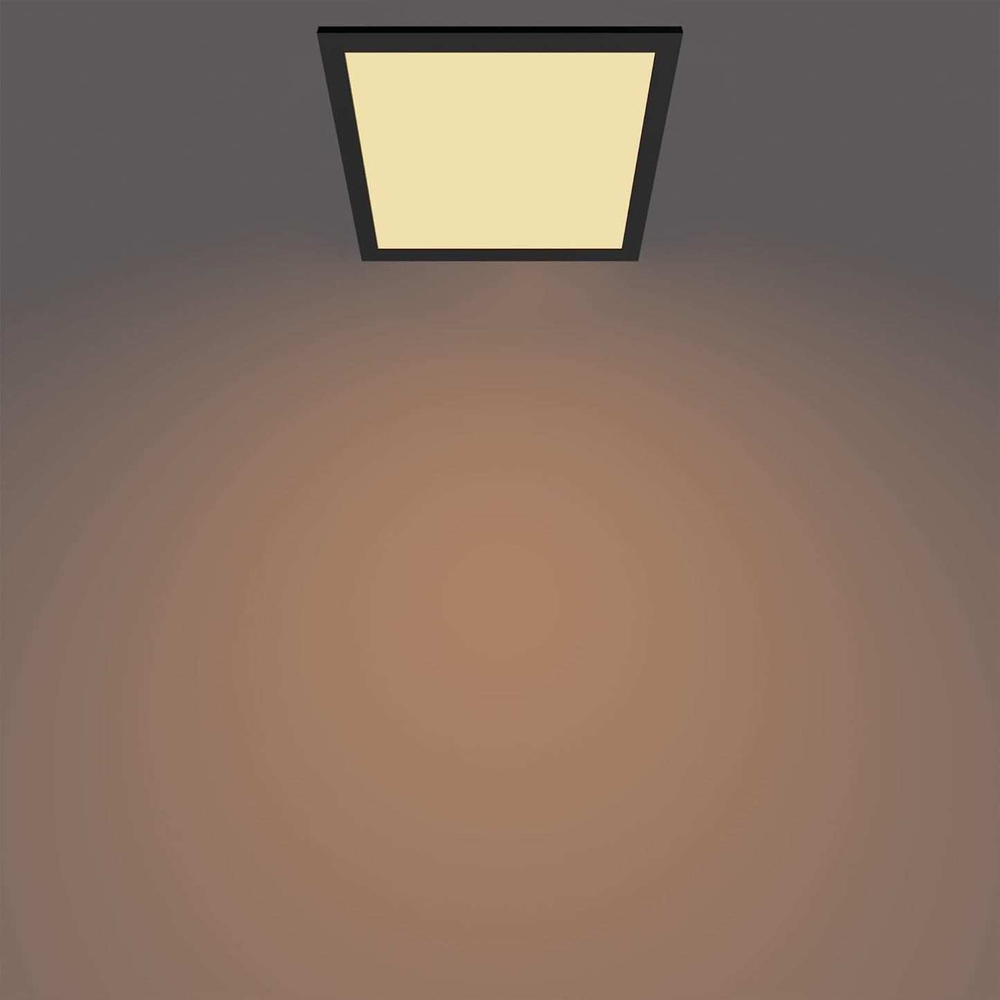 Philips Panel Ceiling Light for Indoor Lighting, Livingroom and Bedroom