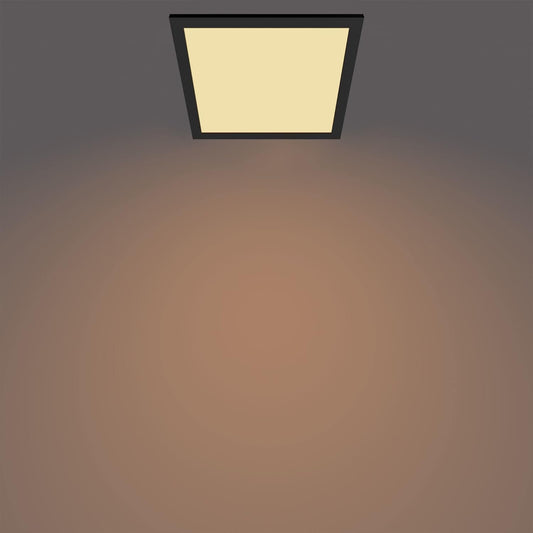 Philips Panel Ceiling Light for Indoor Lighting, Livingroom and Bedroom