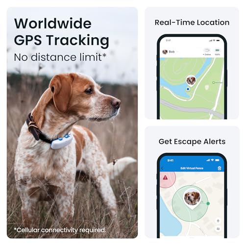 tractive GPS Dog Tracker, Market leader, Worldwide real-time location tracking, Escape Alerts, Monitor Activity & Get Health Alerts, White