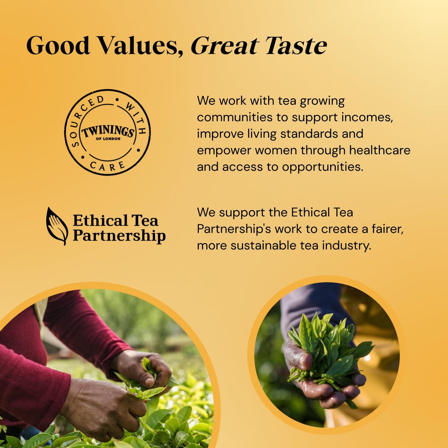Twinings Decaffeinated Everyday Tea 320 Tea Bags,80 Count (Pack of 4)
