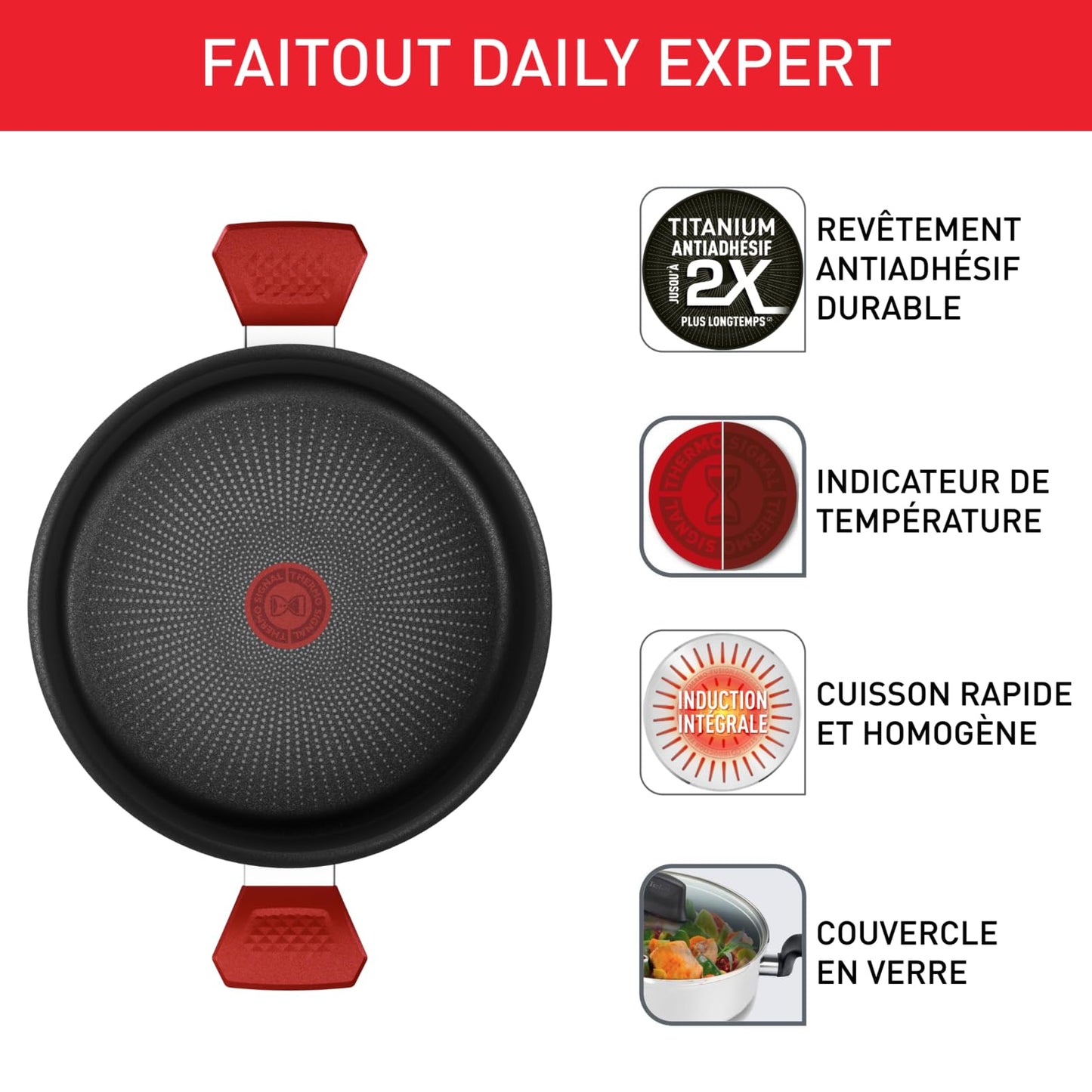 Tefal Casserole 24 cm, Induction, Non-Stick Coating, Temperature Indicator, Glass Lid, Comfortable Handle, Delicious and Healthy Meals, Made in France, Daily Expert C2894602