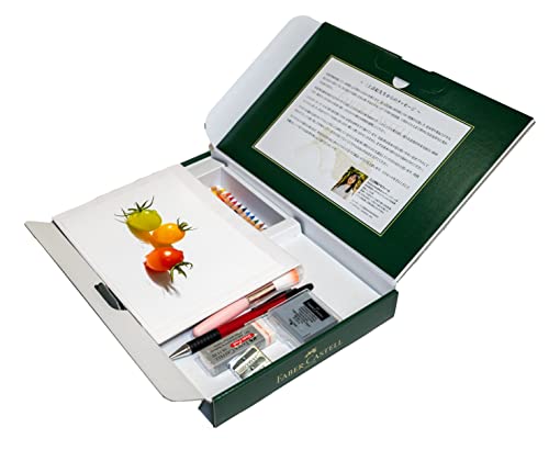 Faber-Castell Art & Graphic Polychromos Colour Pencil,