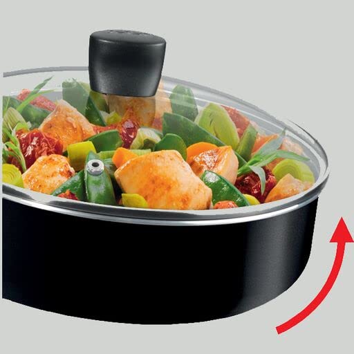 Tefal Easy Cook & Clean B5543202 Nc Frying Pan 24 cm + Lid, Suitable for All Heat Sources Except Induction, Non-Stick Coating, Made in France, Easy Cook & Clean