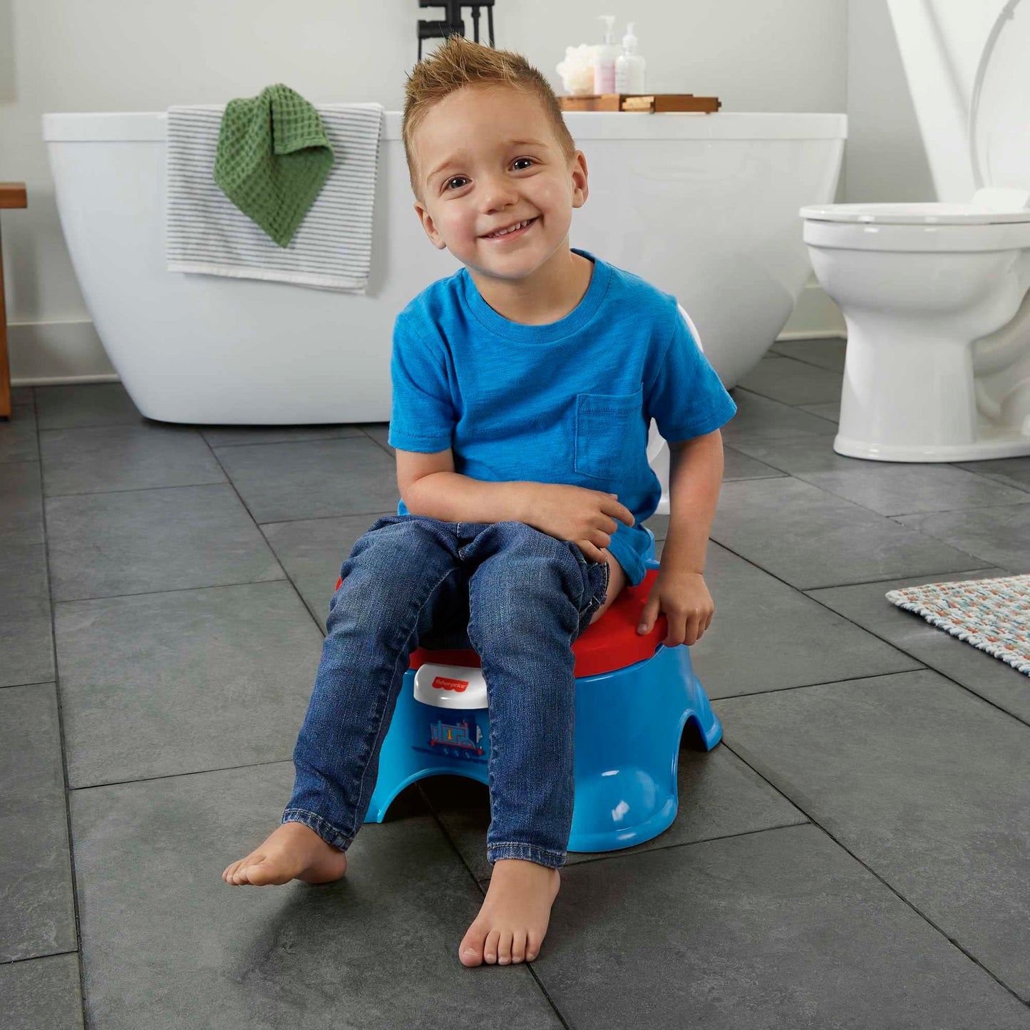 Fisher-Price Thomas Railroad Rewards Potty