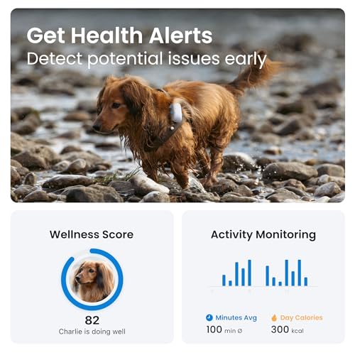 tractive GPS Dog Tracker, Market leader, Worldwide real-time location tracking, Escape Alerts, Monitor Activity & Get Health Alerts, White
