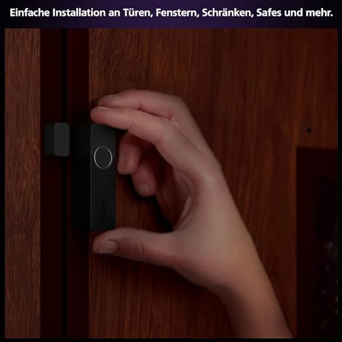 Philips Hue Motion