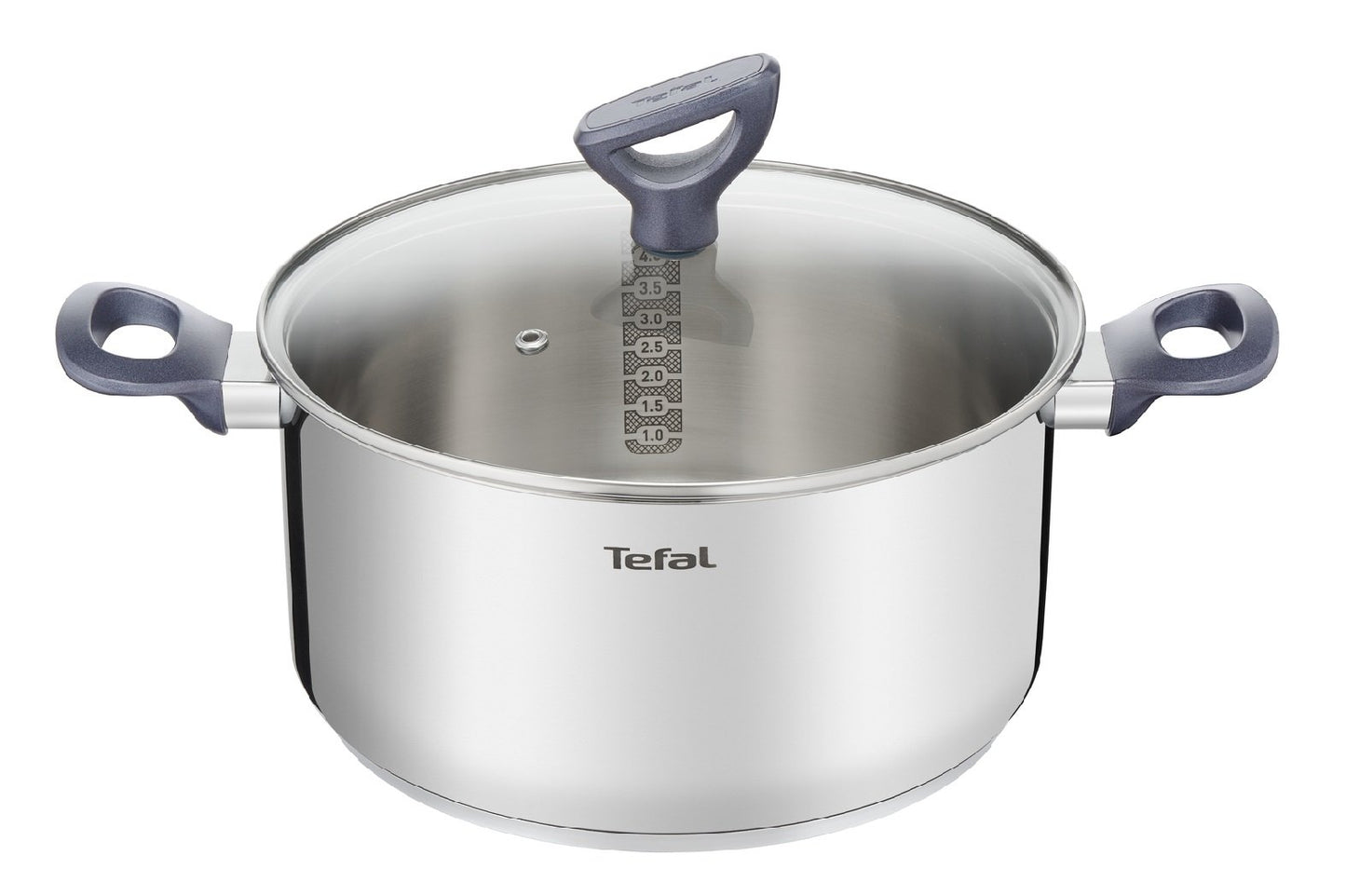 Tefal Daily Cook, Edelstahl