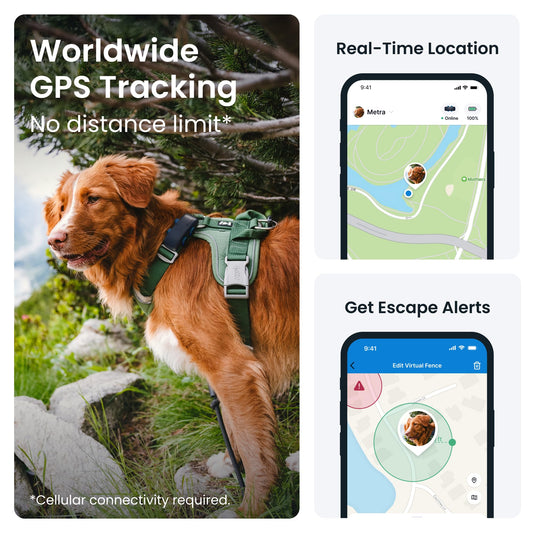 tractive GPS Dog Tracker | Market leader | Real-time location tracking | Escape Alerts | Activity Monitoring | Health Alerts | Bark Monitoring