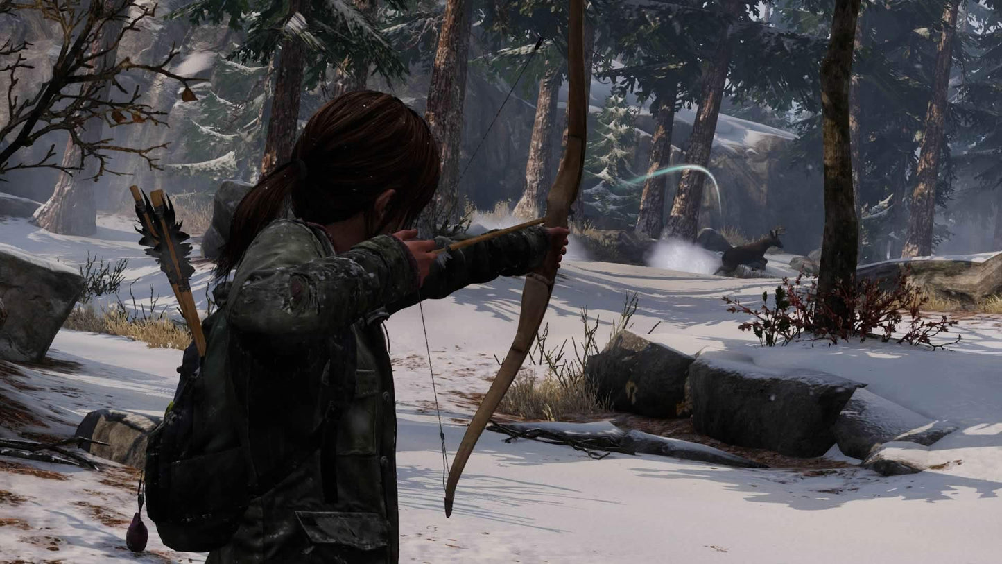 THE LAST OF US PS4 PS HITS