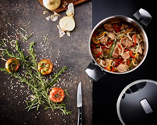 Tefal Emotion G6 Frying Pan