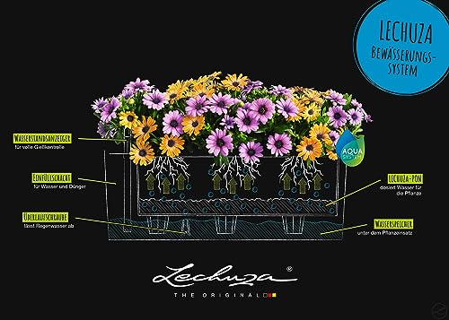 Lechuza BALCONERA Cottage Self Watering Planter
