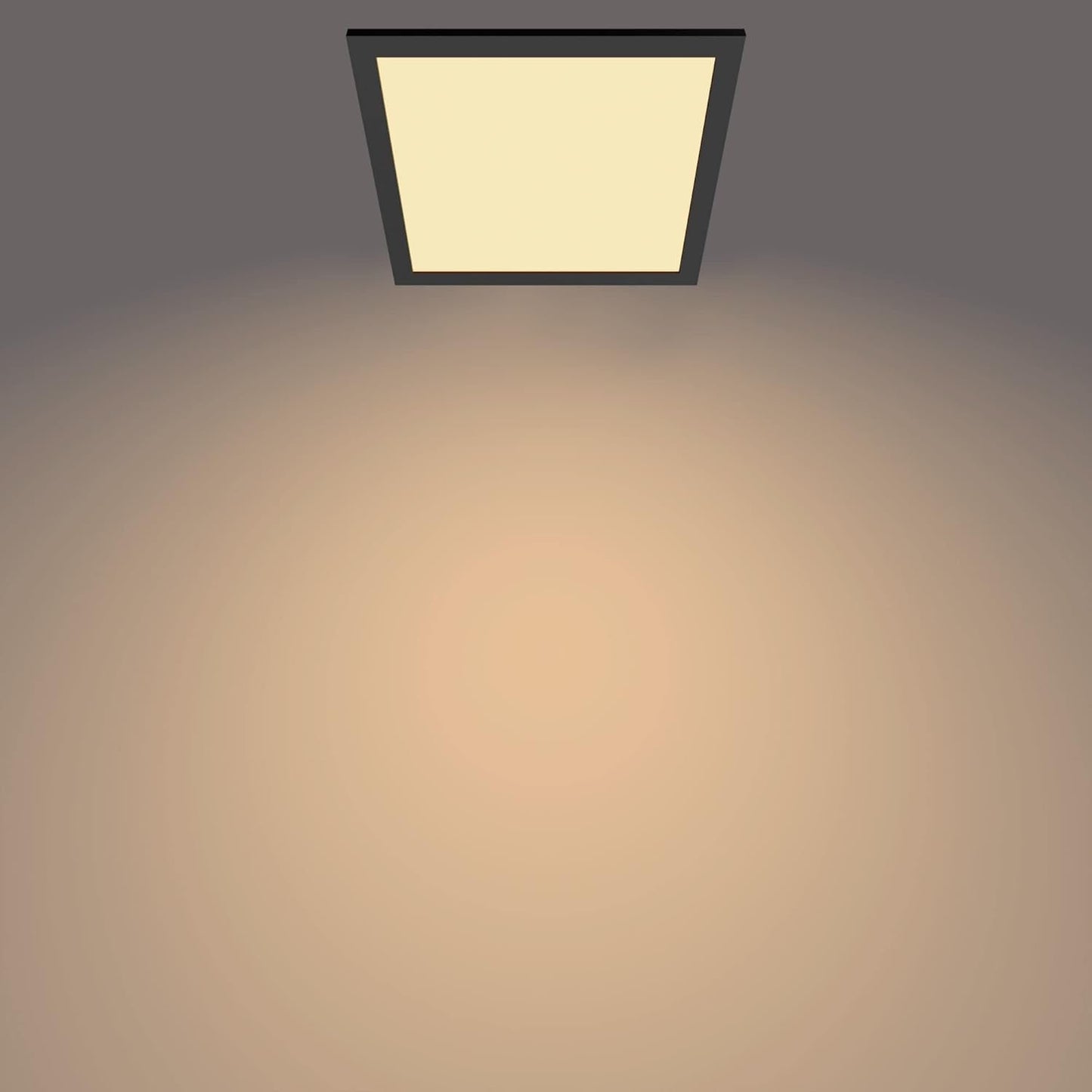 Philips Panel Ceiling Light for Indoor Lighting, Livingroom and Bedroom