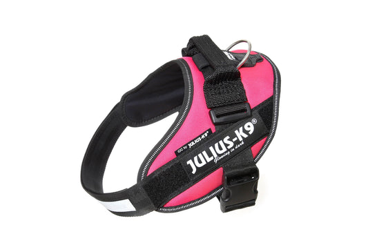 IDC Powerharness