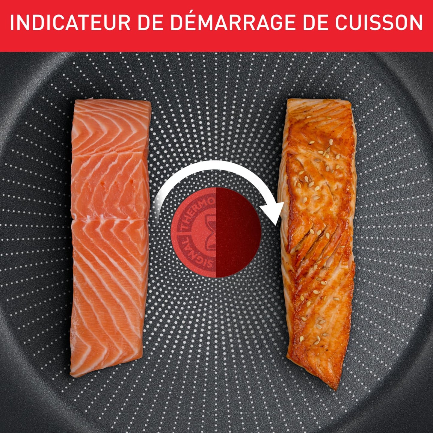 Tefal Casserole 24 cm, Induction, Non-Stick Coating, Temperature Indicator, Glass Lid, Comfortable Handle, Delicious and Healthy Meals, Made in France, Daily Expert C2894602