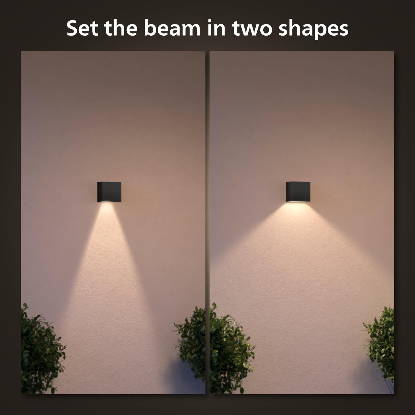 Philips Hue White