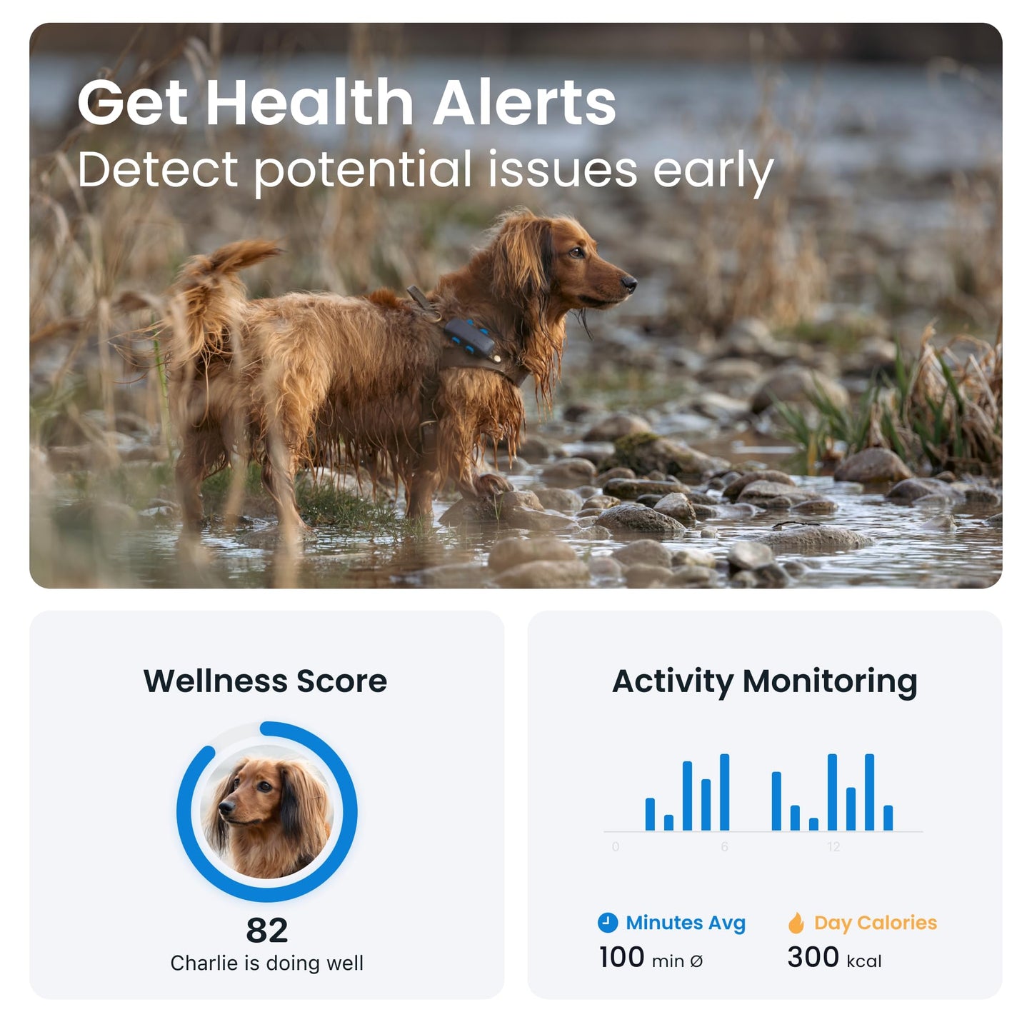 tractive GPS Dog Tracker | Market leader | Real-time location tracking | Escape Alerts | Activity Monitoring | Health Alerts | Bark Monitoring