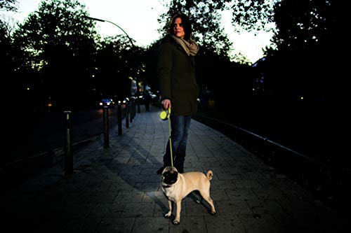 Flexi Neon Tape Green 5m Retractable Dog Leash/Lead for Dogs