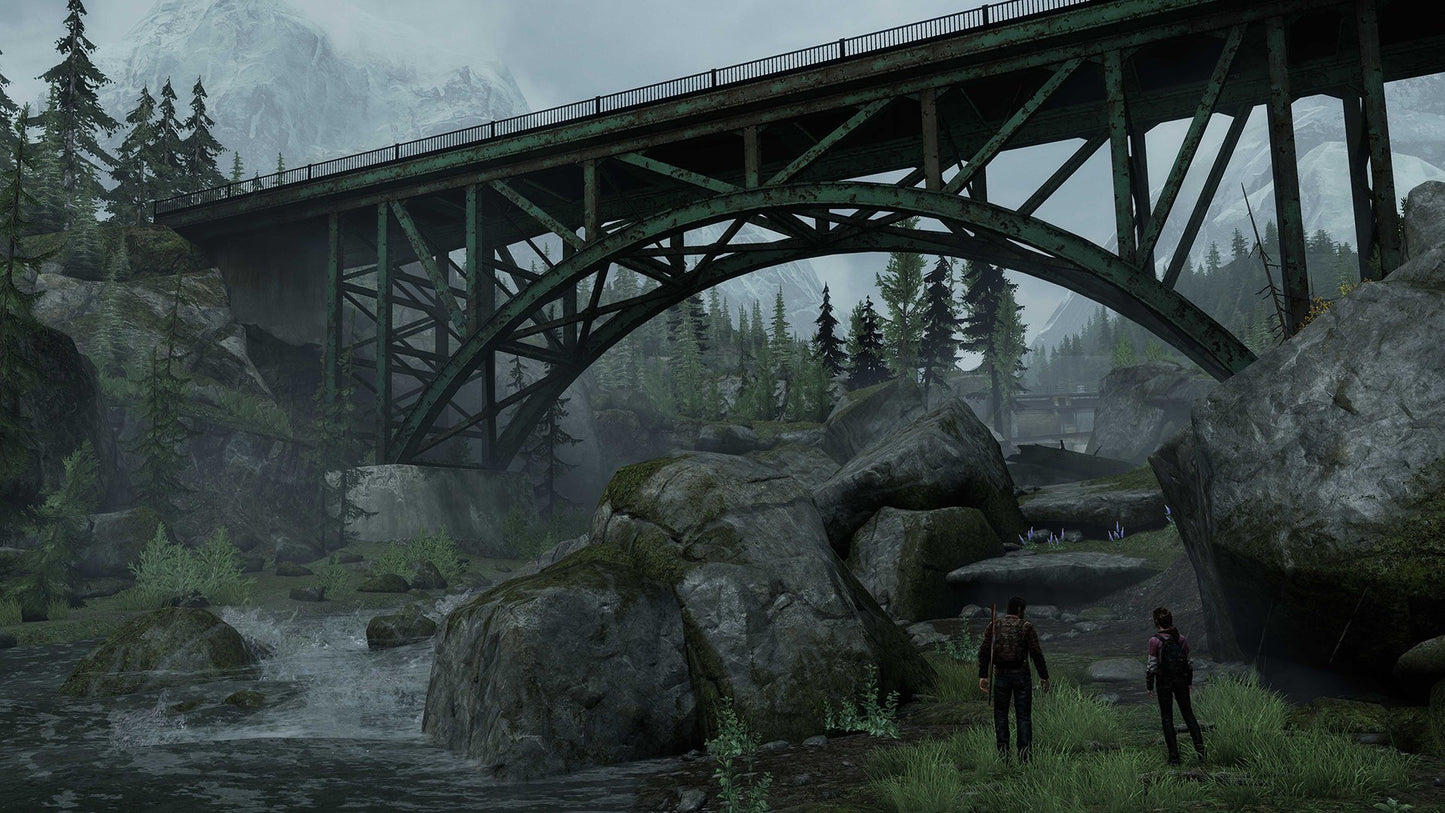 THE LAST OF US PS4 PS HITS
