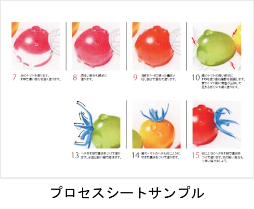 Faber-Castell Art & Graphic Polychromos Colour Pencil,