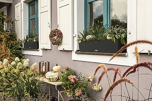 Lechuza BALCONERA Cottage Self Watering Planter
