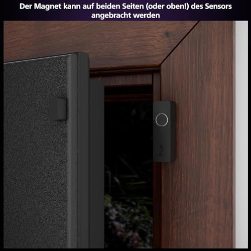 Philips Hue Motion