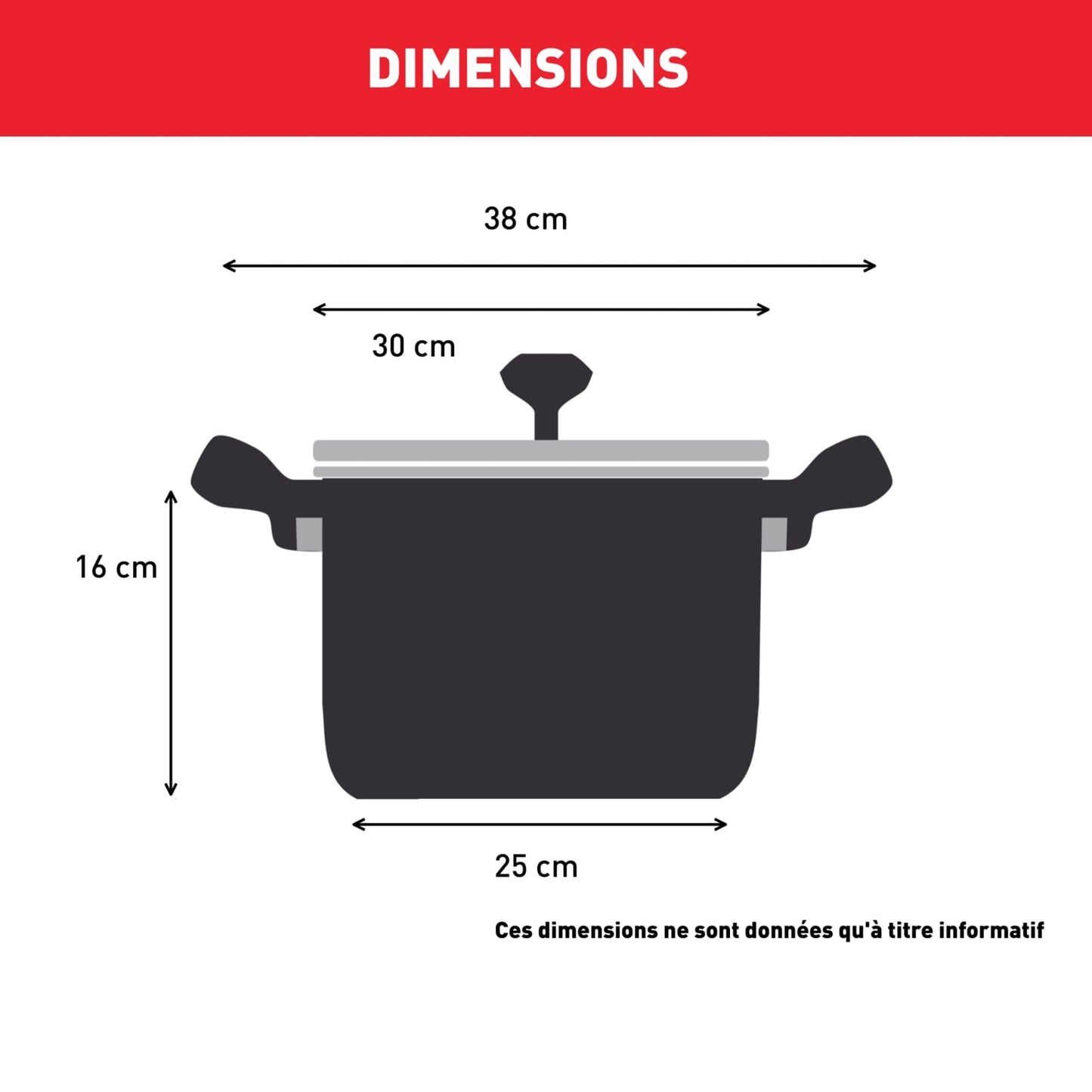 Intuition XL G6 Stainless Steel Stock Pot
