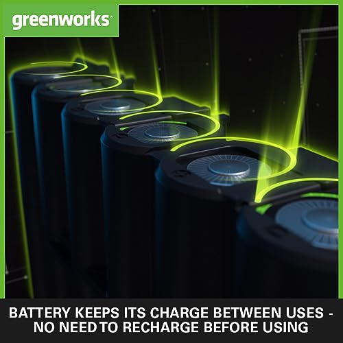 Greenworks 24V 2A Akku Ladegerät, für Greenworks 24V Batterien G24B2 & G24B4