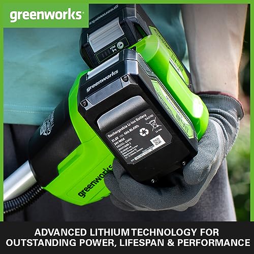 Greenworks 24V 2A Akku Ladegerät, für Greenworks 24V Batterien G24B2 & G24B4