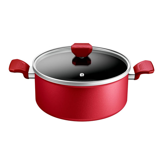 Tefal Casserole 24 cm, Induction, Non-Stick Coating, Temperature Indicator, Glass Lid, Comfortable Handle, Delicious and Healthy Meals, Made in France, Daily Expert C2894602