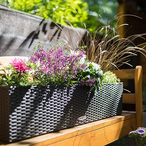 Lechuza BALCONERA Cottage Self Watering Planter