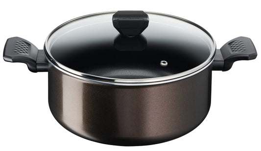 Tefal Easy Cook & Clean B5544602 Cooking Pot 24 cm (4.7 L) with Lid Suitable for All Heat Sources Except Induction