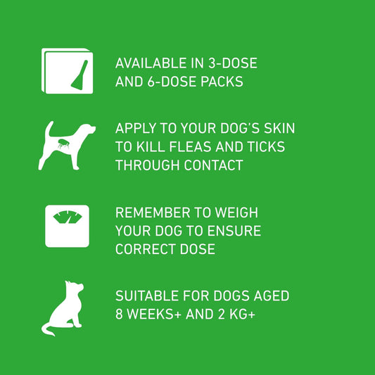 FRONTLINE Plus Flea & Tick Treatment for Small Dogs (2-10 kg) - 3 Pipettes